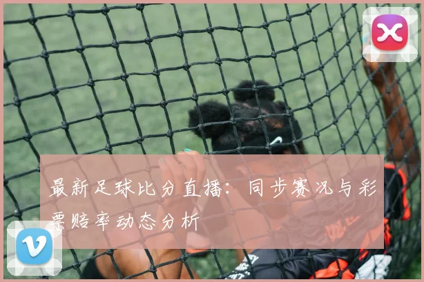 最新足球比分直播：同步赛况与彩票赔率动态分析