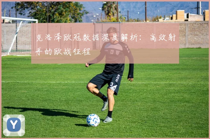 克洛泽欧冠数据深度解析：高效射手的欧战征程